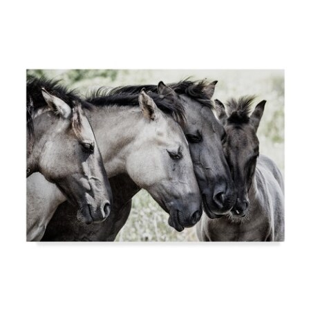 Trademark Fine Art Jaap Van Den 'Four Konik Horses' Canvas Art, 22x32 1X07686-C2232GG